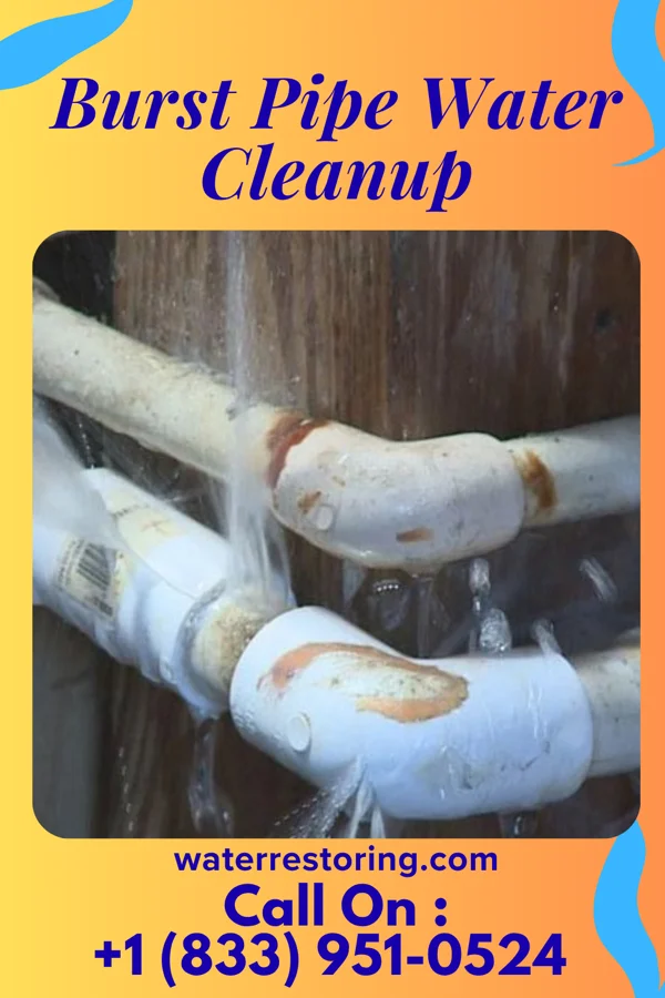 Burst Pipe Water Cleanup in Big Beaver, PA