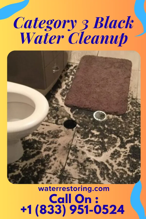 Category 3 Black Water Cleanup in Big Beaver, PA