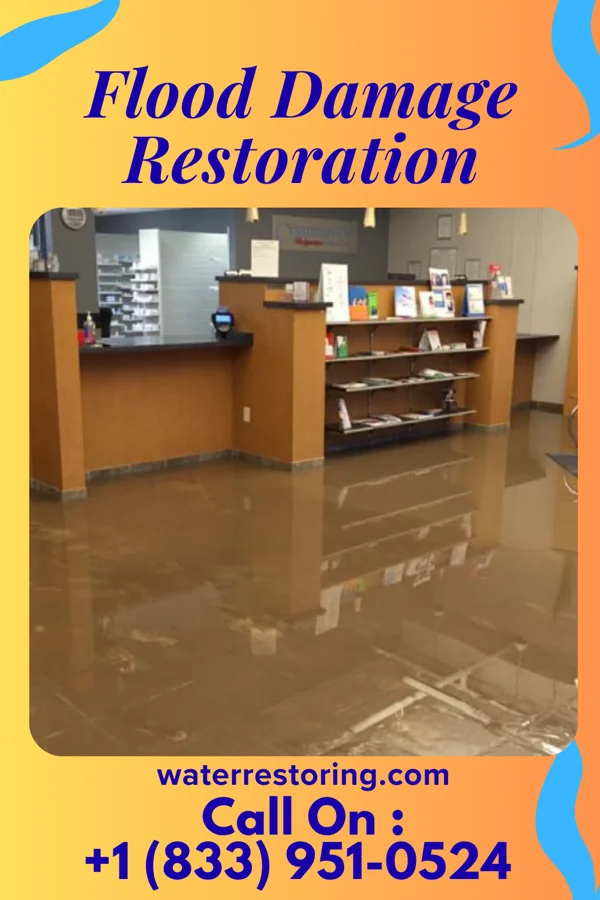Flood Damage Restoration in Big Beaver, PA