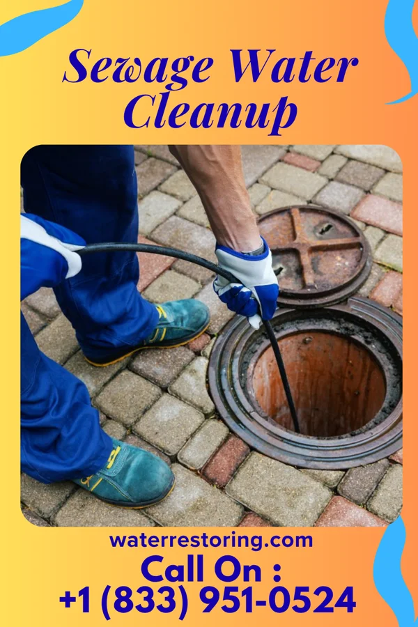 Sewage Water Cleanup in Big Beaver, PA