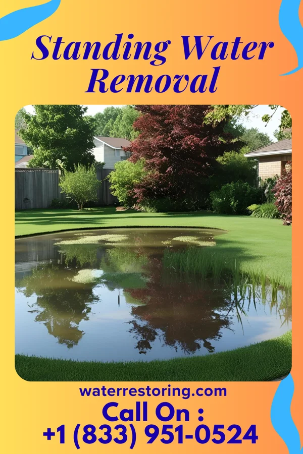 Standing Water Removal in Big Beaver, PA